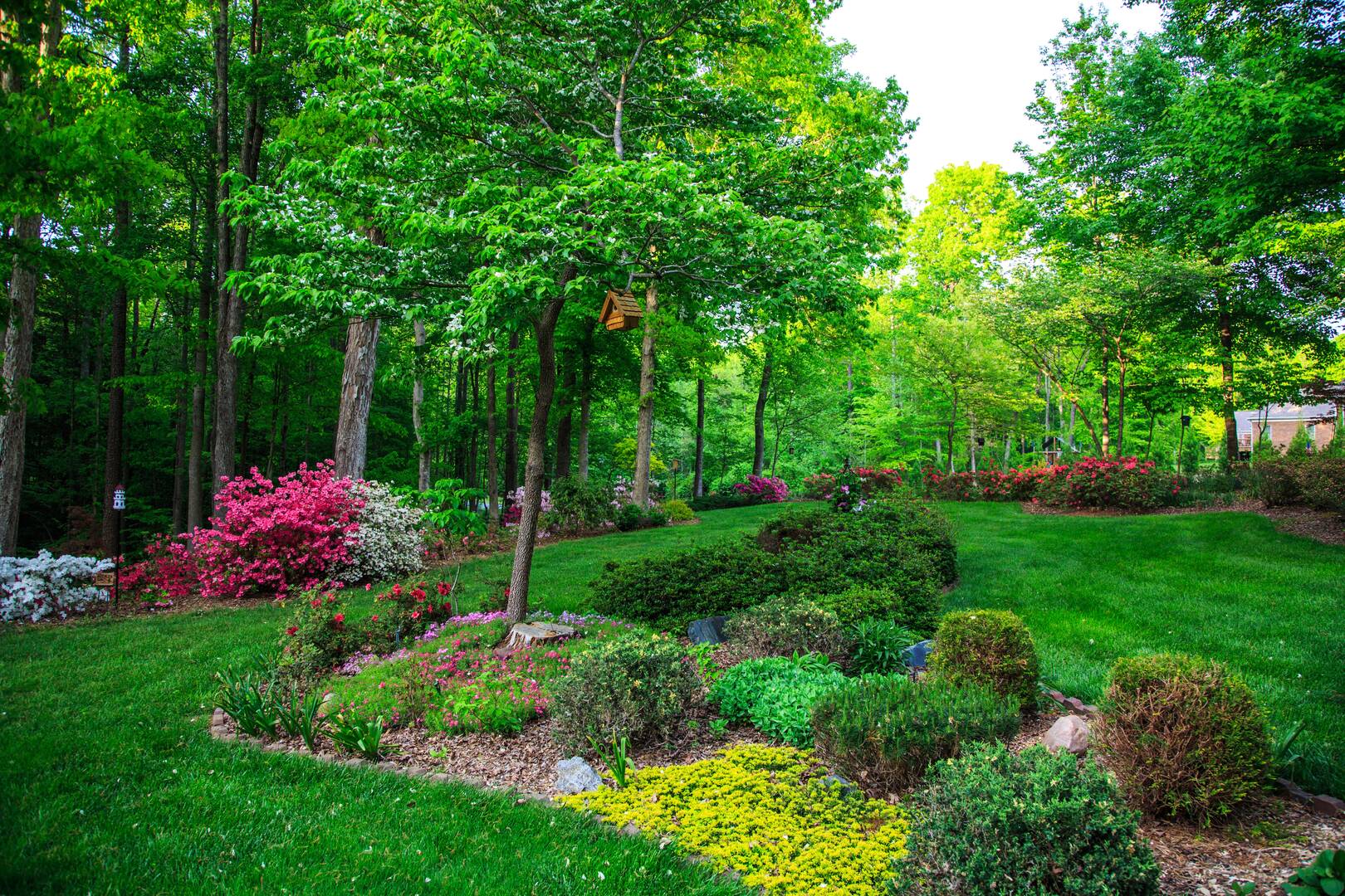 Gordon Pro Tree Service